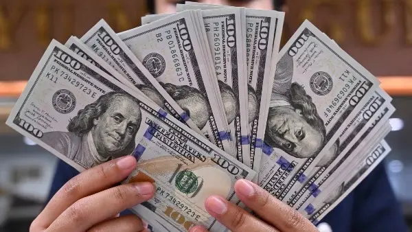 سعر الدولار اليوم في البنوك المصرية