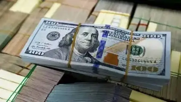 سعر الدولار اليوم مقابل الجنيه