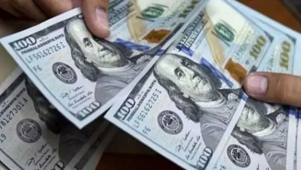 سعر الدولار اليوم في البنوك المصرية