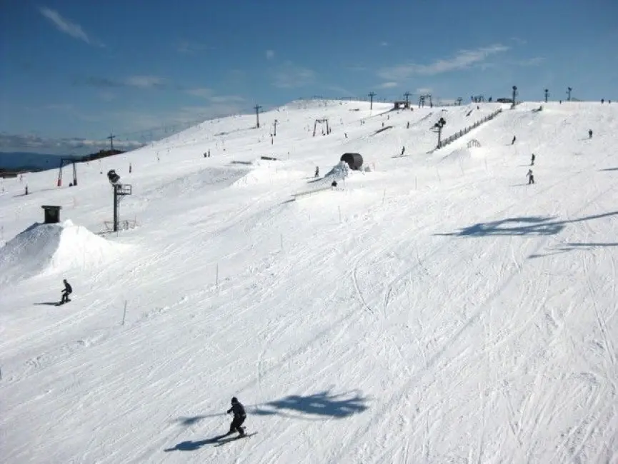Australia: Tragic Tree Collapse on Mount Buller Road Claims One Life and Leaves Woman Seriously Injured in Victoria Alpine Resort