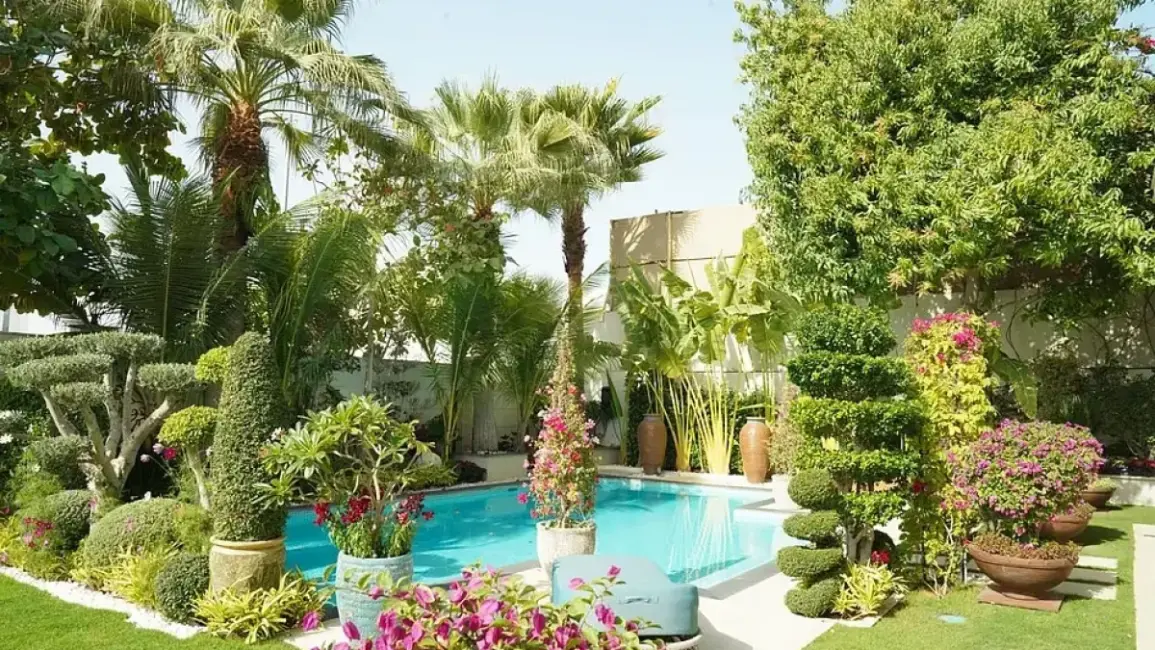 Dubai sets target to plant 3.5 million trees and expand green areas by 2040