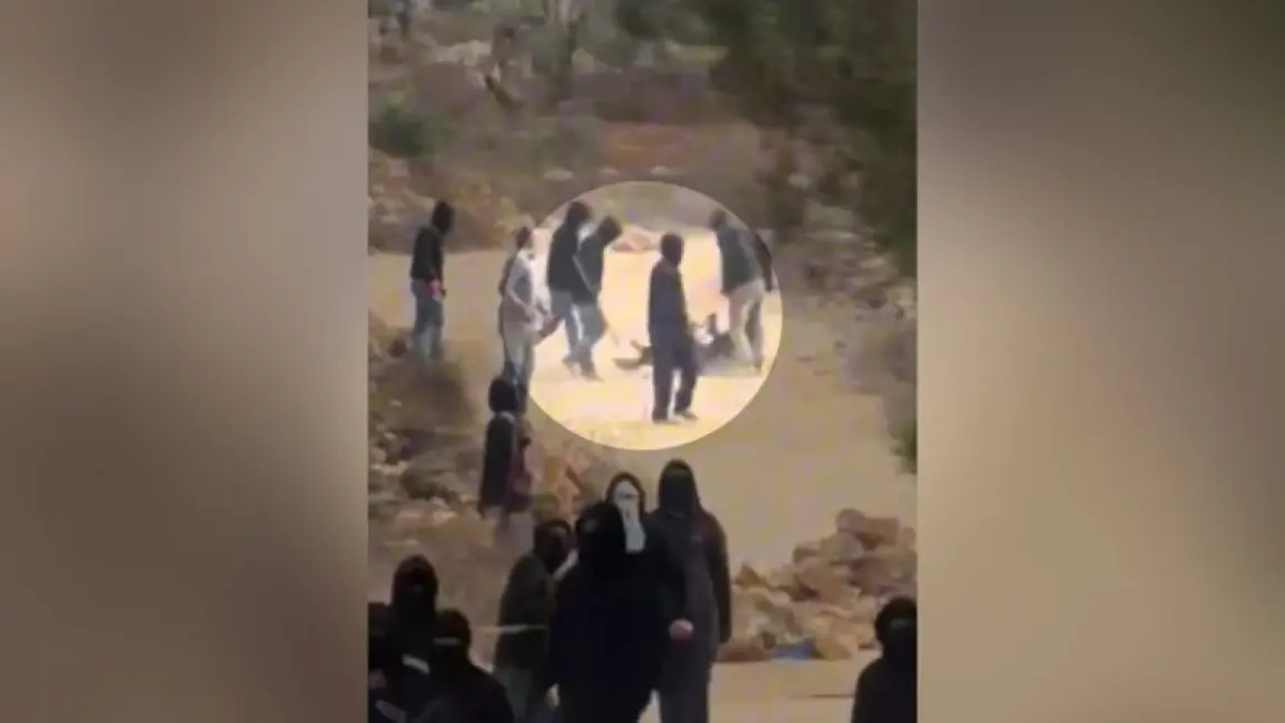 نقل المصورة هايدي ليفين إلى المستشفى بعد هجوم لمستوطنين في الضفة الغربية