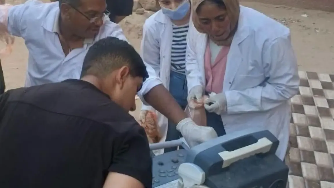 أسوان تكثف التوعية البيطرية وتنفذ قافلة مجانية لتحصين وتعقيم الكلاب الحرة