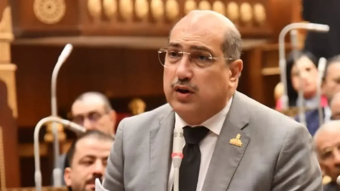 إيهاب وهبة: دعوة السيسي لتفويض دعم أمن السعودية تؤكد ثوابت مصر العربية