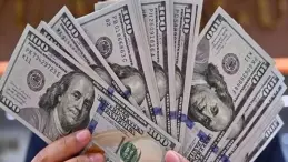 سعر الدولار