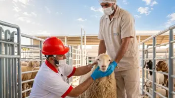 صورة لأحد مقاصب دبي الحديثة