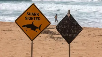 Shark Attacks in Australia