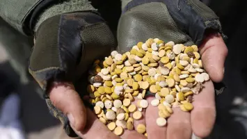 الحكومة السورية: إحراق مليون حبة الكبتاغون في دمشق ضمن جهود مكافحة المخدرات