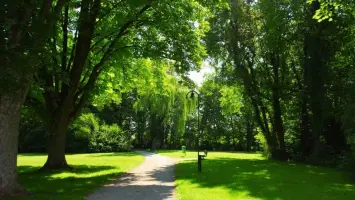 UAE: Sharjah Park Entry Card Application – Costs and Required Documents