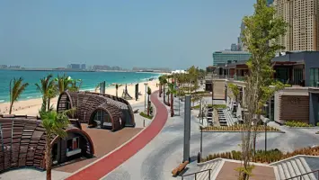 إطلاق 46 طائرًا بحريًا متعافيًا على شاطئ الحيرة في الشارقة