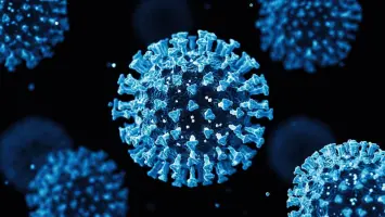 الولايات المتحدة تحذر من تفشي فيروس "أوروبوش"