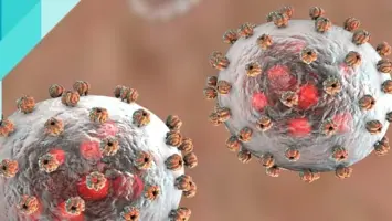 حمى لاسا تودي بحياة 118 شخصاً في نيجيريا خلال الربع الأول من 2023