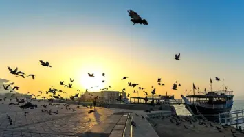 خبراء الطقس يكشفون عن موسم الحميمين وأبرز خصائصه المناخية