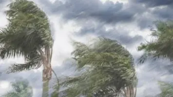 لبنان: أضرار جسيمة في عكار نتيجة الرياح القوية