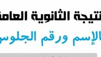 عاجل مصر: الإستعلام عن نتيجة الثانوية العامة 2025 برقم الجلوس