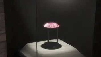 Dubai Police Foil $25M Pink Diamond Heist in 8-Hour Operation