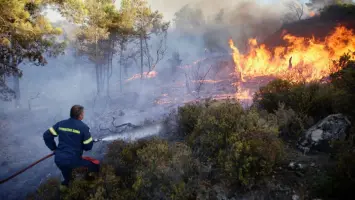 Europe Experiences Unprecedented Wildfire Season, Data Reveals