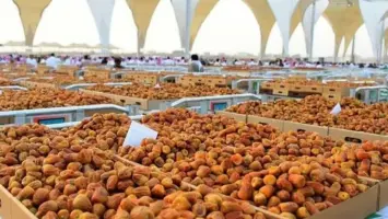 ركن واحة الطفل يضفي لمسة ترفيهية على كرنفال بريدة للتمور