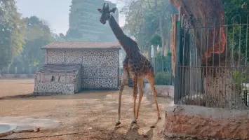 موعد افتتاح حديقة الحيوان بالجيزة بعد التطوير الشامل