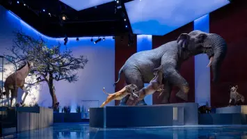 Crown Prince Opens Natural History Museum Abu Dhabi in Saadiyat