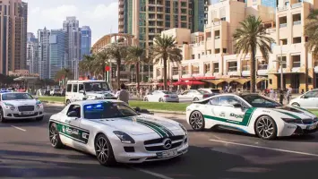 شرطة دبي توقف سائحا نفذ استعراضا خطرا بمركبته على شارع الشيخ زايد