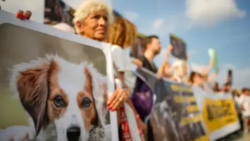 آلاف المتظاهرين من الأتراك يحتجون على قانون "إزالة الكلاب الضالة"