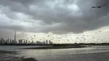 الإمارات: فرصة سقوط أمطار على بعض المناطق غدا