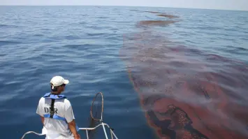 UAE: Oil Spill Affects Fujairah Snoopy Island Beach