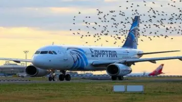 مصر تعيد المئات من رعاياها العالقين في دولة لبنان