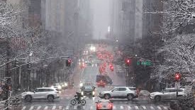 Winter Storm