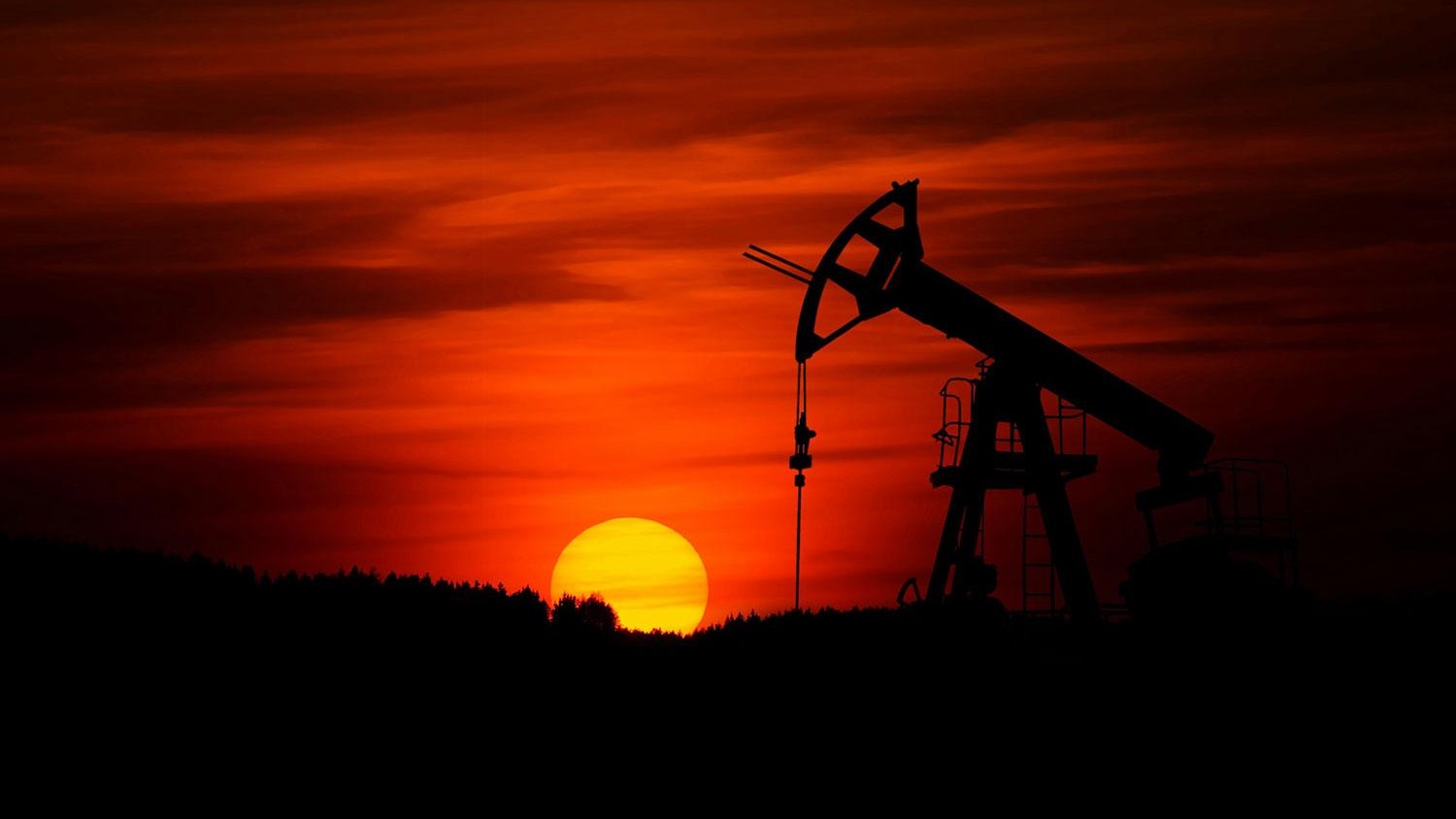 Oil