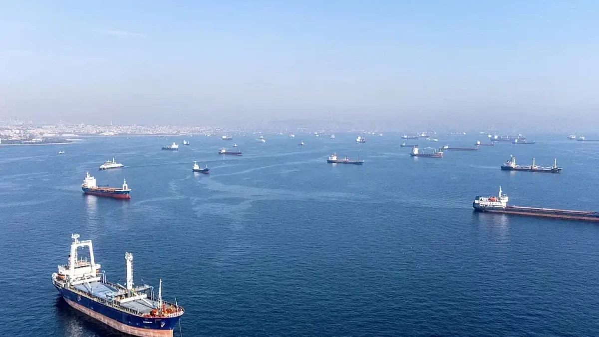Black Sea commercial shipping and Indian crew members affected by vessel attacks