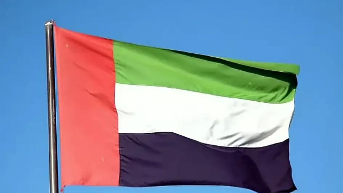 UAE statement condemning attacks on two airports in Saudi Arabia