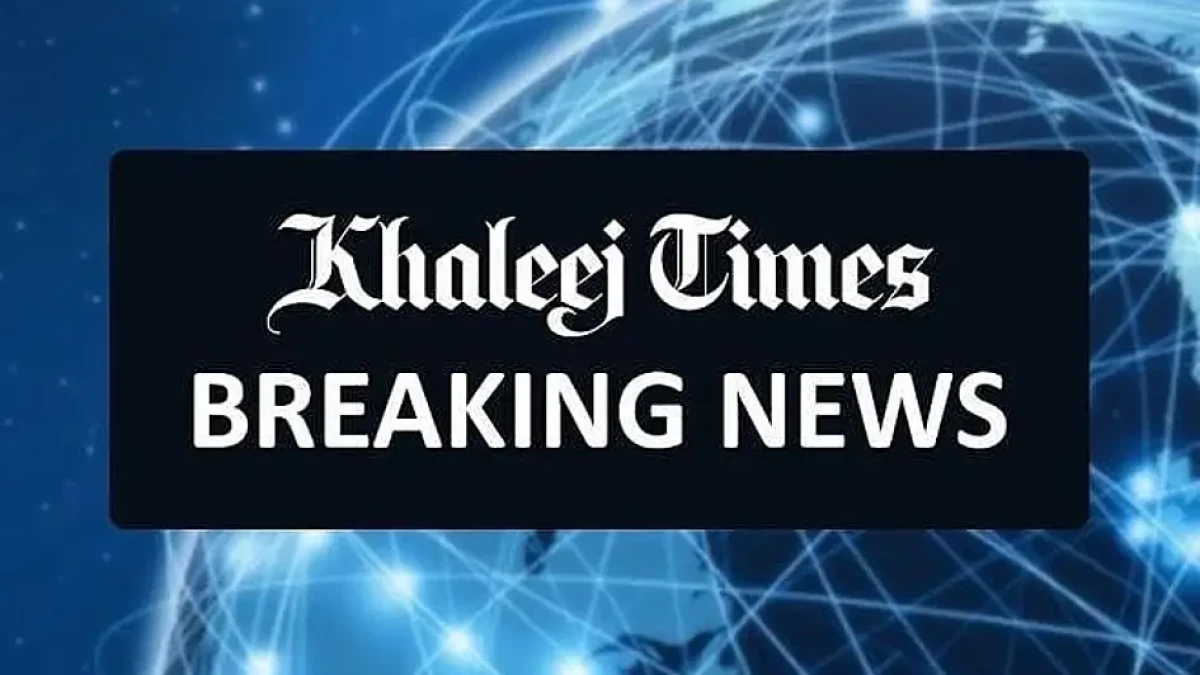 UAE government services announcement