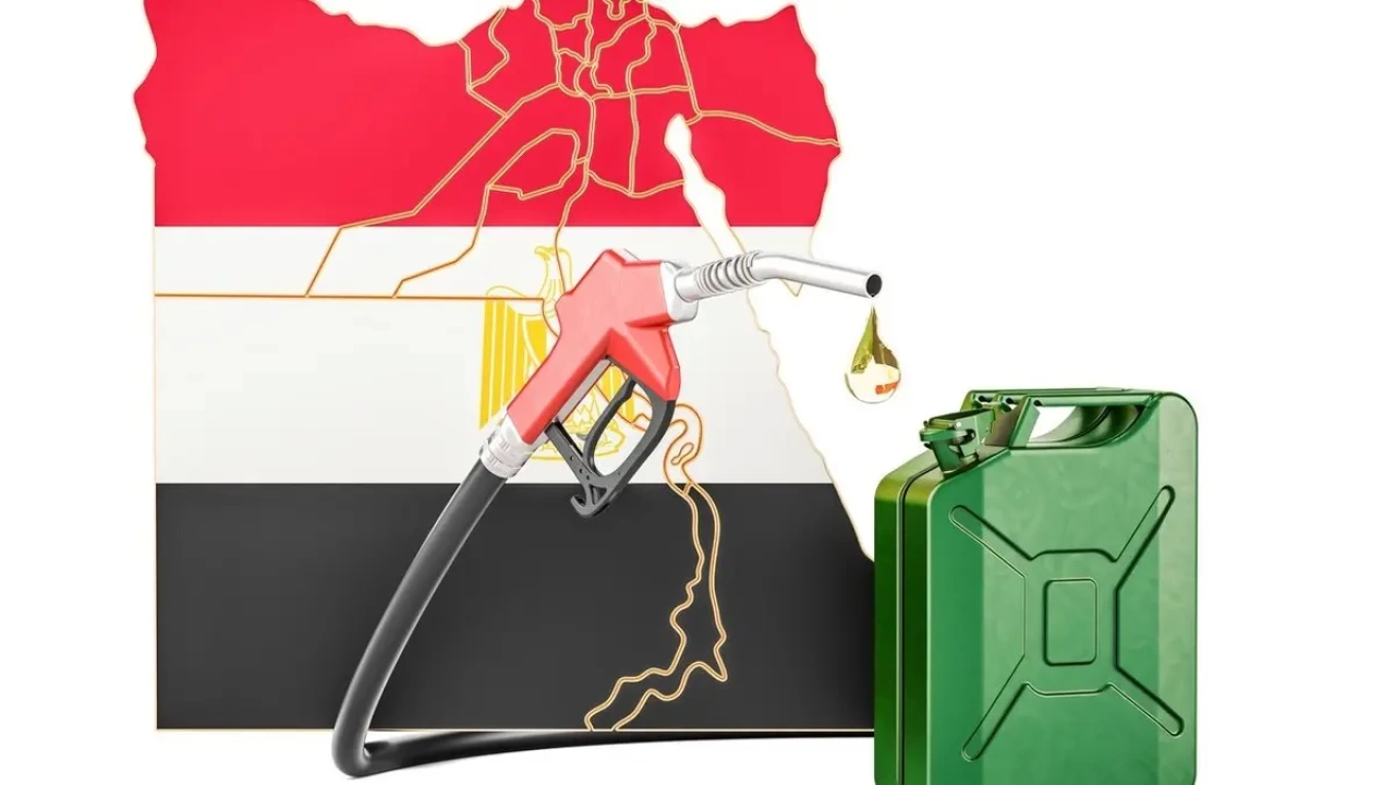 مصر تدرس أسعار الغاز العالمية لاستيراد الشحنات في 2025