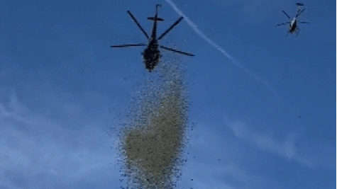Citizens were surprised by a helicopter raining dollars on their city