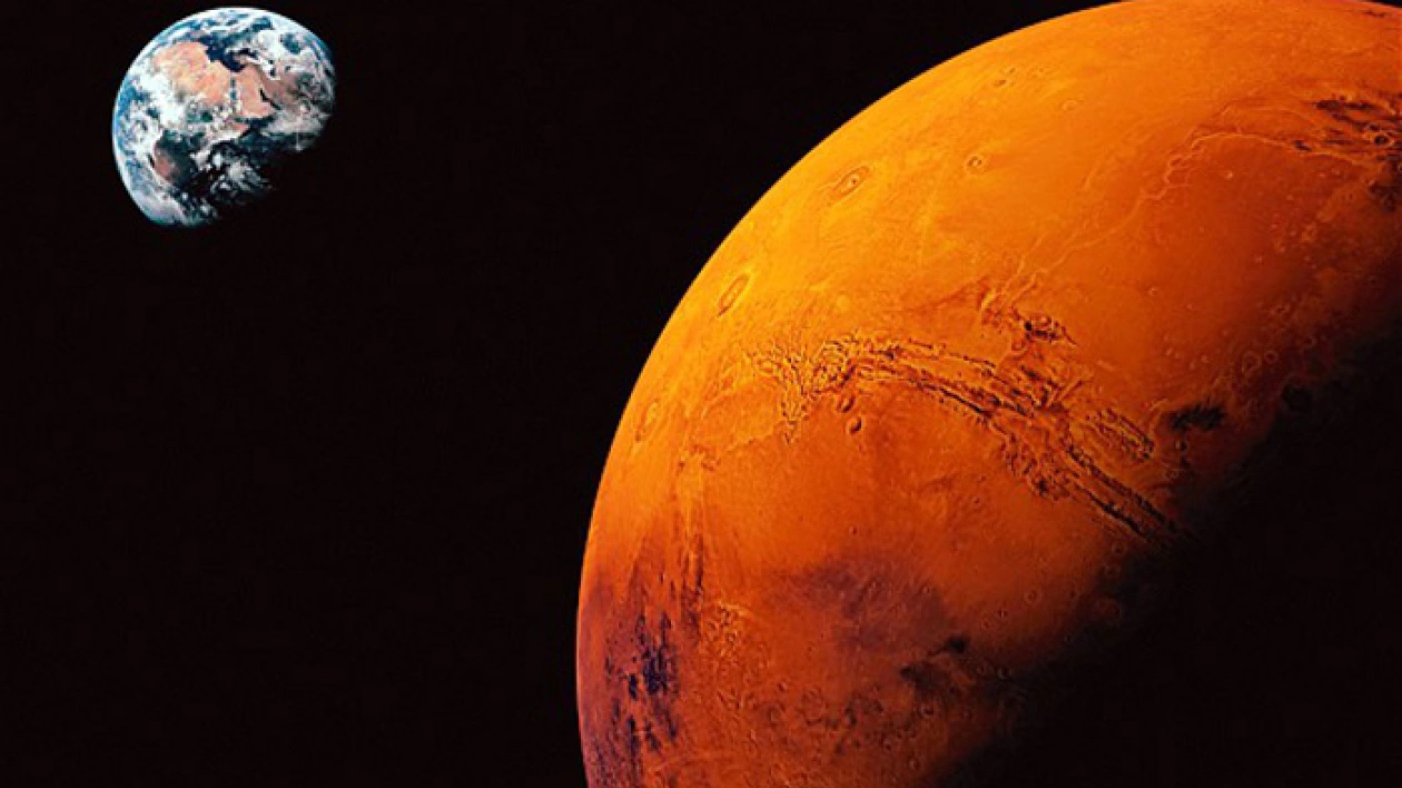 Mars Rock Sells for $5.3M, Dino Skeleton Stuns Auction with $30M