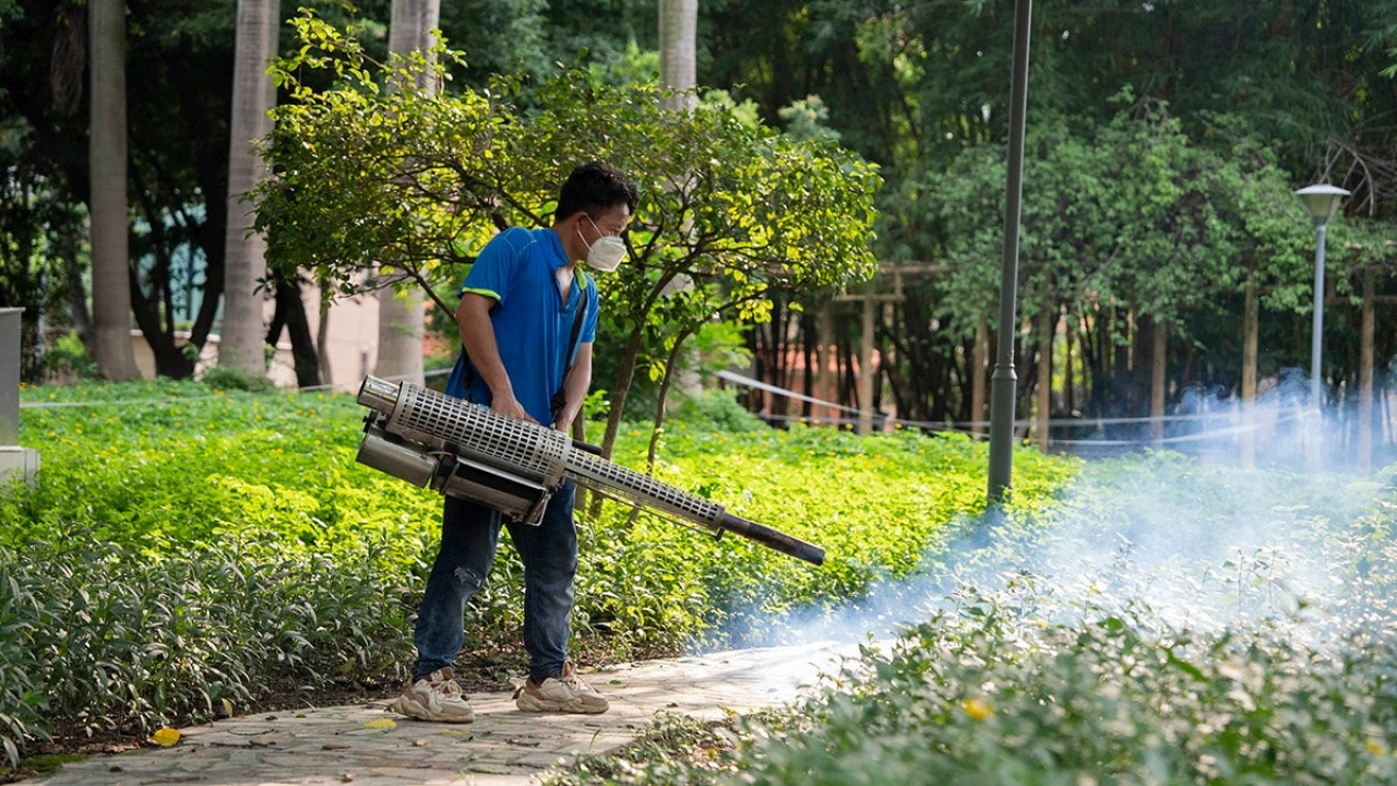 China Intensifies Efforts to Combat Chikungunya Outbreak