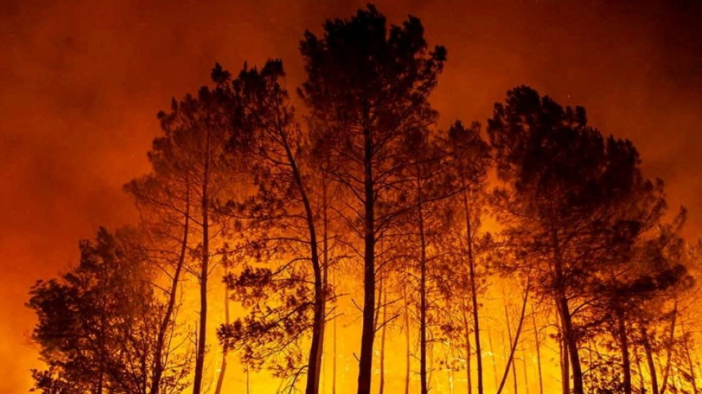 Drought Prompts Fire Bans and Stiffer Penalties in Atlantic Canada