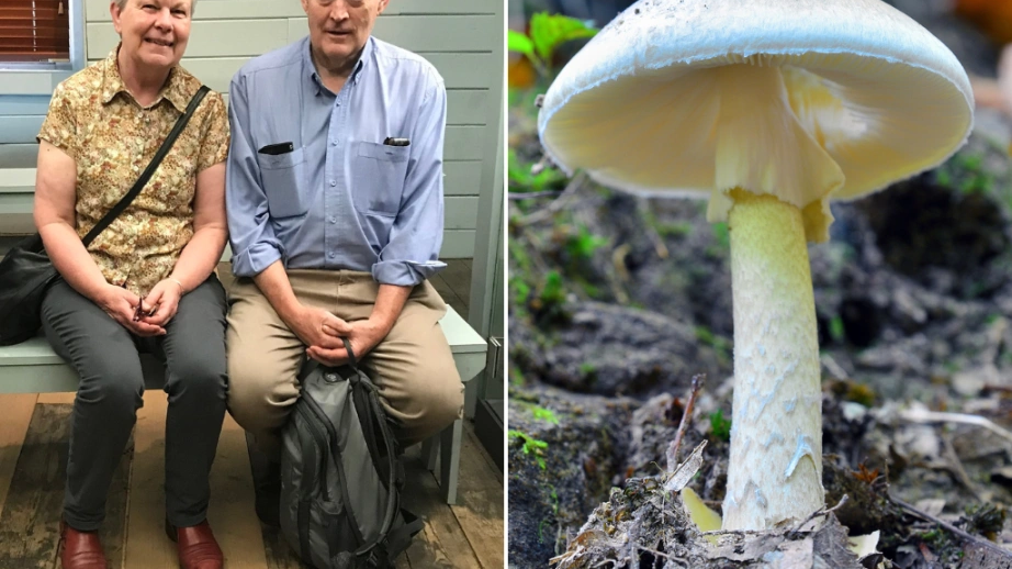 Sole Survivor of Mushroom Poisoning Mourns Wife and Friends