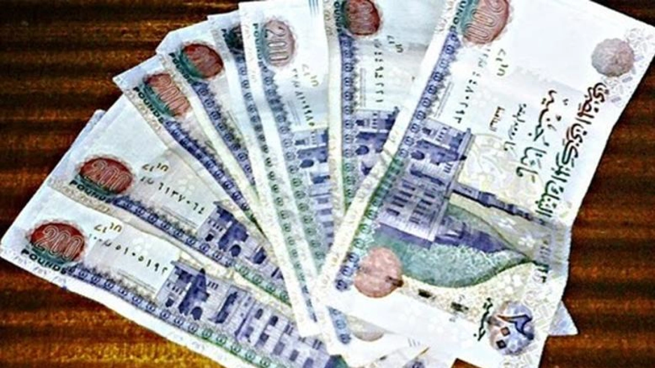 قانون العمل الجديد في مصر: تحديات الأجور وآليات التنفيذ