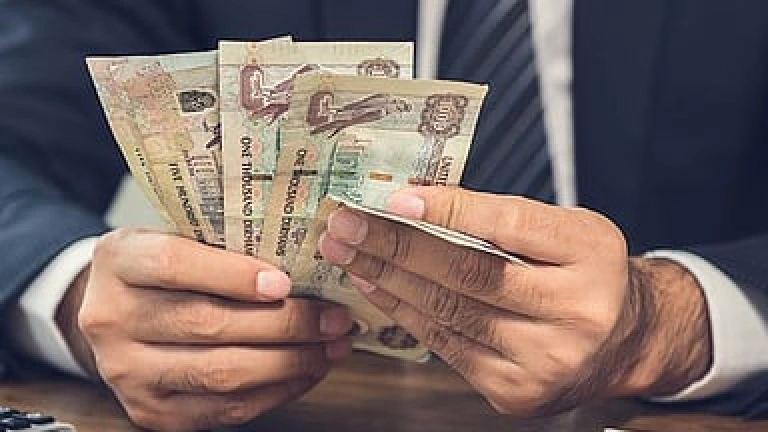 UAE Residents Offered Zero-Interest Instalment Plans for Government Fees