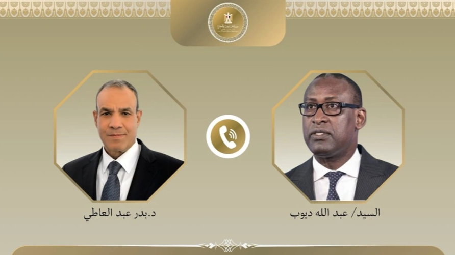 تفاصيل اتصال بين وزير الخارجية المصري ونظيره المالي بشأن المختطفين المصريين
