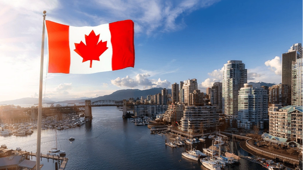 Canada Issues Bear Warning for Travelers Visiting Northern Japan