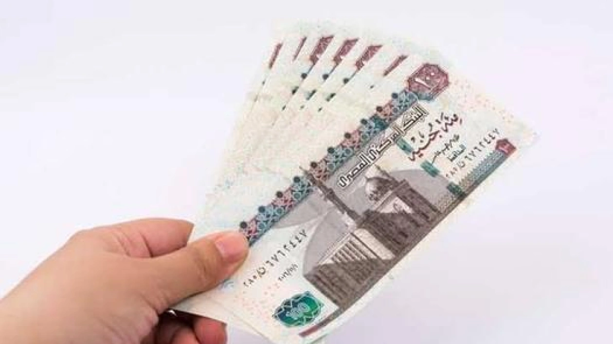 تفاصيل نسب تعويض البطالة وفقًا لقانون التأمينات الاجتماعية بمصر