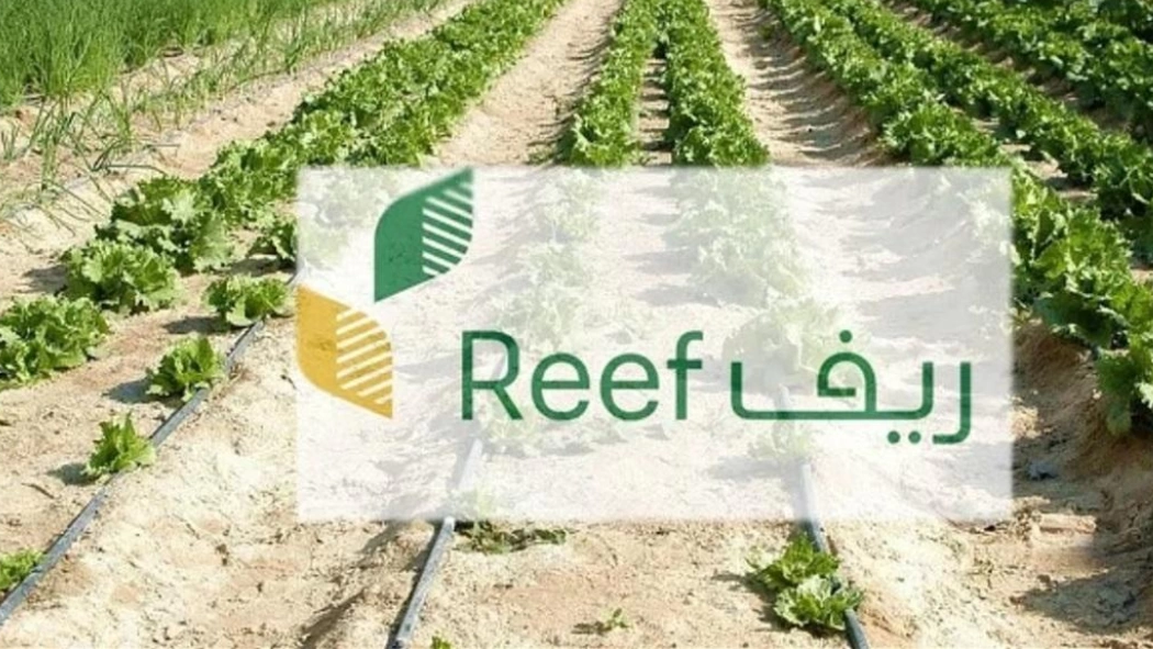 كيفية الاستعلام عن برنامج دعم ريف 1446