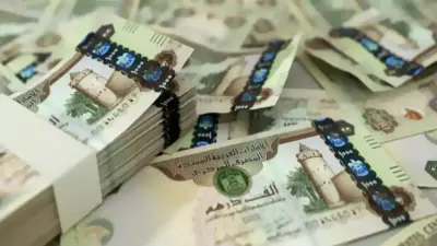 UAE dirhams