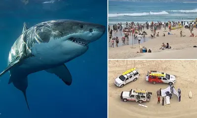 Shark Attacks in Australia