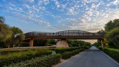 جسر جديد لتعزيز تجربة الدراجات الجبلية في حديقة مشرف الوطنية بدبي