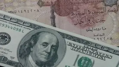 سعر الدولار اليوم في البنوك المصرية